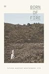 Born of Fire: a book on identity