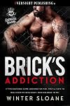 Brick's Addiction (Ruthless Reapers MC Book 2)