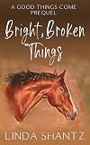 Bright, Broken Things: A Good Things Come Prequel
