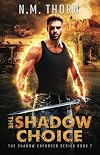 The Shadow Choice
