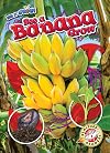 See a banana grow (See it grow!)
