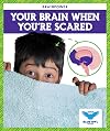 Your brain when you're scared