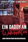 Ein Daddy an Weihnachten: MM Mpreg Weihnachtsromanze