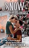 Snow Many Promises: A Snowed Inn Romance