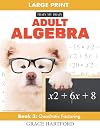Adult Algebra: Book 3: Quadratic Factoring (Adult Algebra Practice Workbooks)