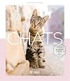 Chats du monde: De QuΓ©bec Γ Kyoto (French Edition)