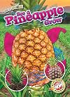 See a Pineapple Grow - See It Grow!, Non-Fiction Reading & Learning with Pictures for Grade 1 - Blastoff! Readers Collection
