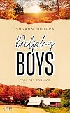 Delphy Boys: Ein Kleinstadtherzen Roman