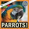 Parrots!: A My Incredible World Picture Book for Children (My Incredible World: Nature and Animal Picture Books for Children)