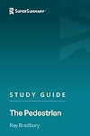 The Pedestrian