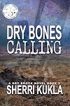 Dry Bones Calling: Dry Brook: Christian Mystery & Suspense Romance Book 2