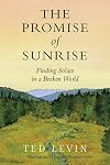 The Promise of Sunrise: Finding Solace in a Broken World