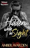 Hidden While In Sight (Wicked Defenders)