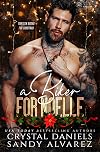 A Biker for Noelle (Thirteen Bikers for Christmas)
