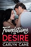 Foundations of Desire: A Second Chance Forced Proximity Romance