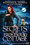 Secrets of the Frostbound Cottage
