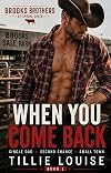 When You Come Back: A Small Town Second Chance Single Dad Instalove Romance (Brooks Brothers of Spring Creek)