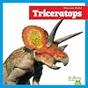 Triceratops (Dinosaur World)