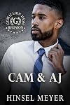 Cam & AJ: A Fake Boyfriend MM Romance
