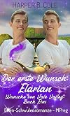 Der erste Wunsch: Elarian: Elfen-Schwulenromanze - MPreg (Wünsche von Vale Valley 1) (German Edition)
