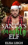Santa's Naughty Elf: A Dominant Santa Forbidden Elf Romance (North Pole After Dark Book 1)