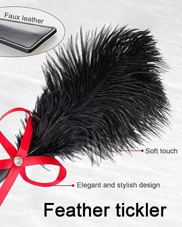 Set frusta e crop bdsm in pelle con solleticatore a piume_voghion.com